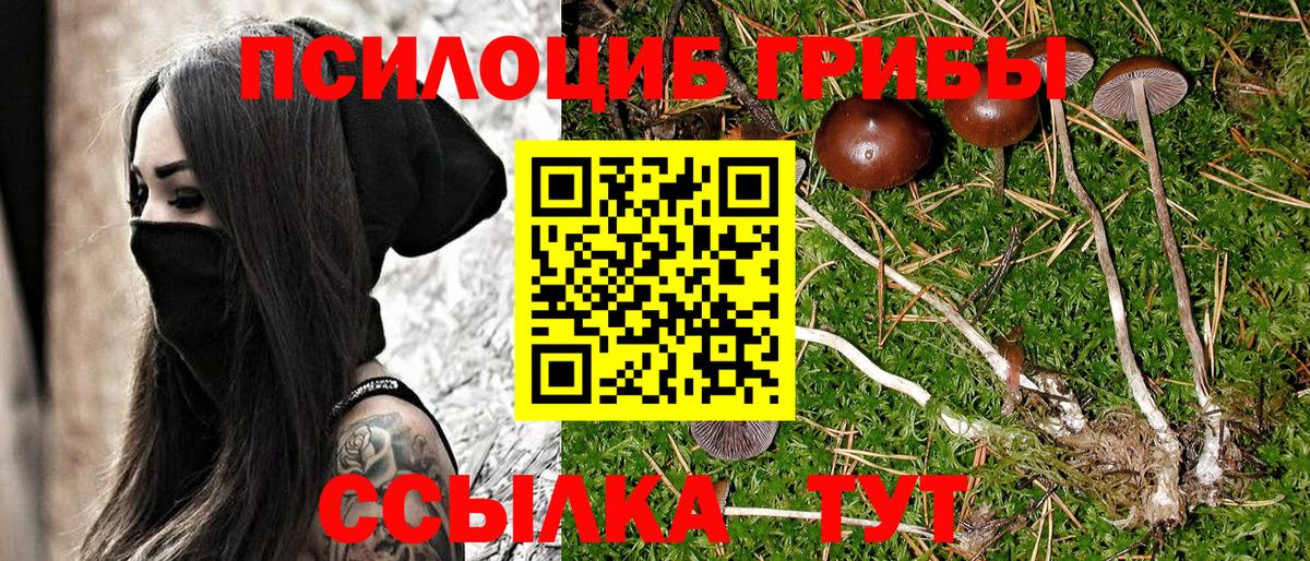 Псилоцибиновые грибы Psilocybe  Псилоцибиновые грибы ЛСД  Реутов  Вход с VPN 